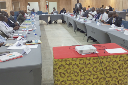 Elections futures en Côte d’Ivoire: des experts font d’importantes recommandations