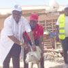 Eradication de la PPR administration d'un dose