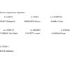 Une vue des organisations estudiantines signataires de cette déclaration.